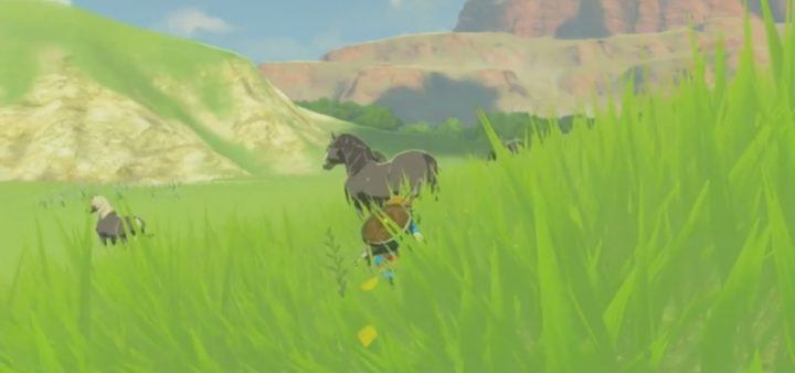 The Legend of Zelda: Breath of the Wild Money Farming