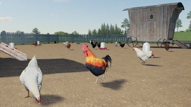 Farming Simulator 19 Chickens Guide