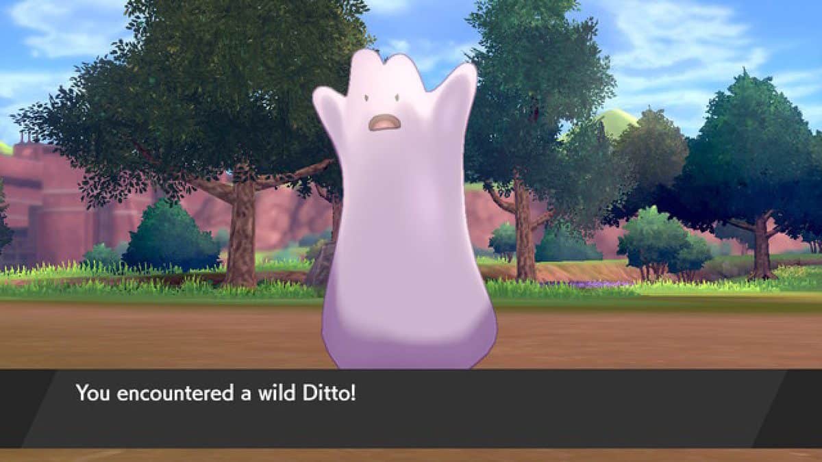 Pokemon Sword and Shield Best High IV Ditto