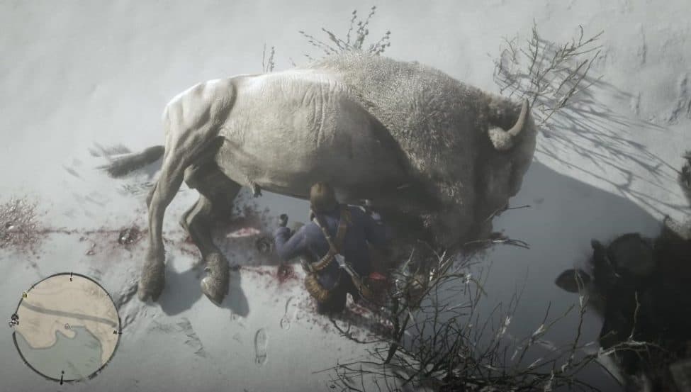 where to find ghost bison rdr2