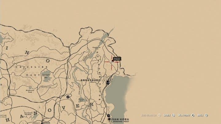 Torn Treasure Map