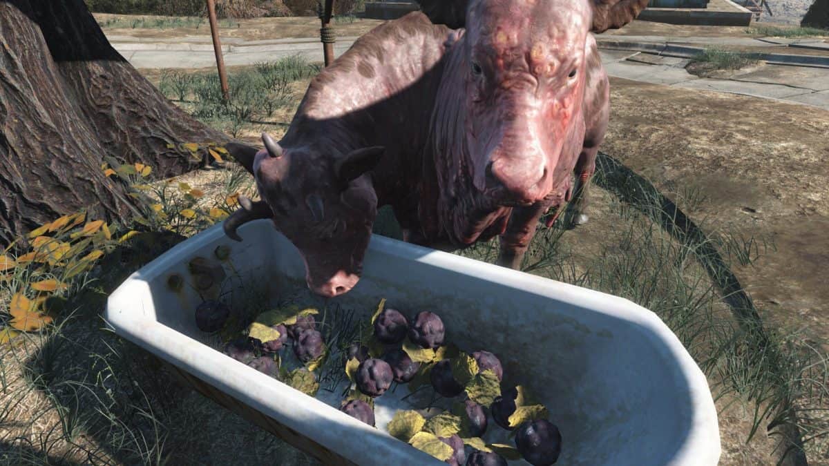 Fallout 76 Wastelanders Leather Farming