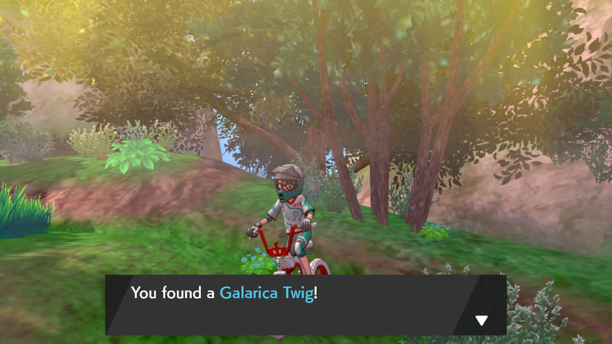 How to Find Galarica Twigs in Pokemon Sword and Shield