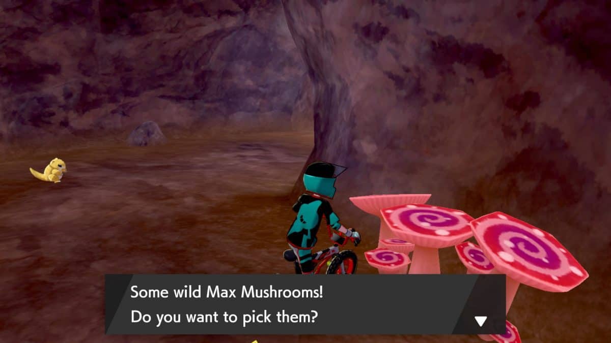 Pokemon Sword and Shield Max Mushrooms