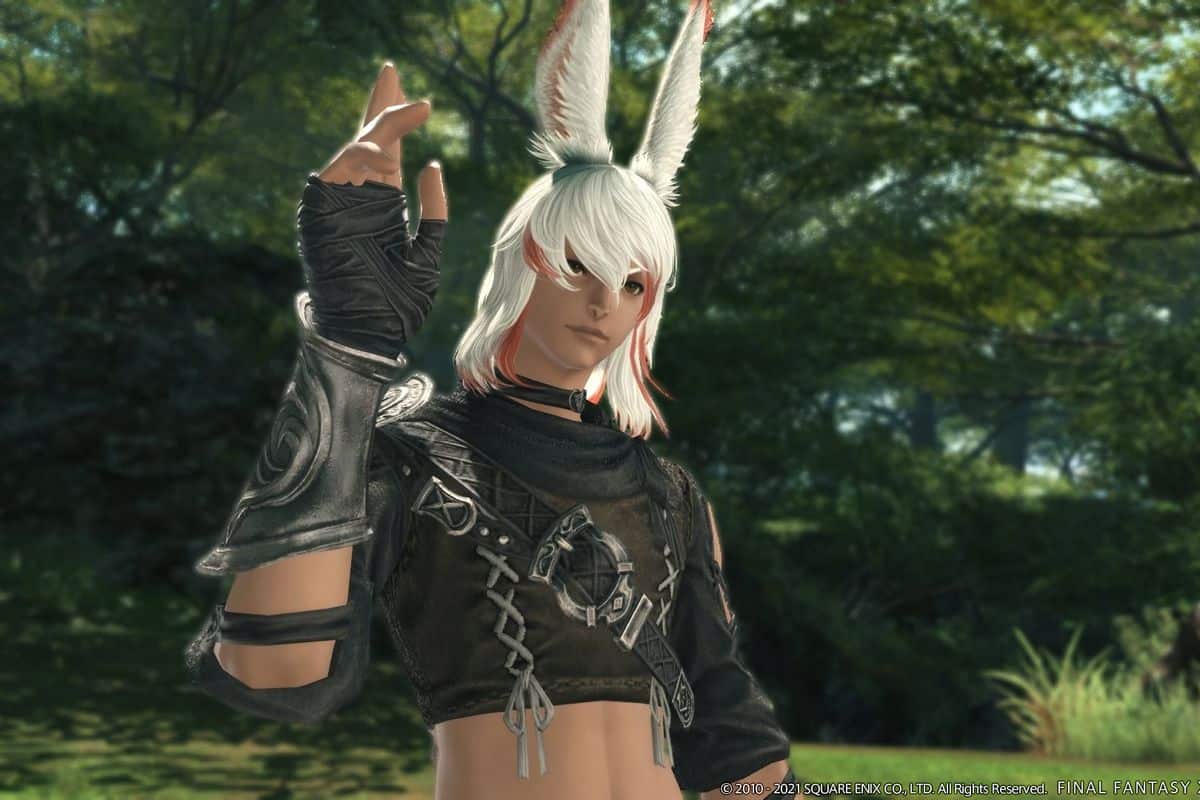 How to Unlock New Viera Hairstyles in Final Fantasy 14 - SegmentNext