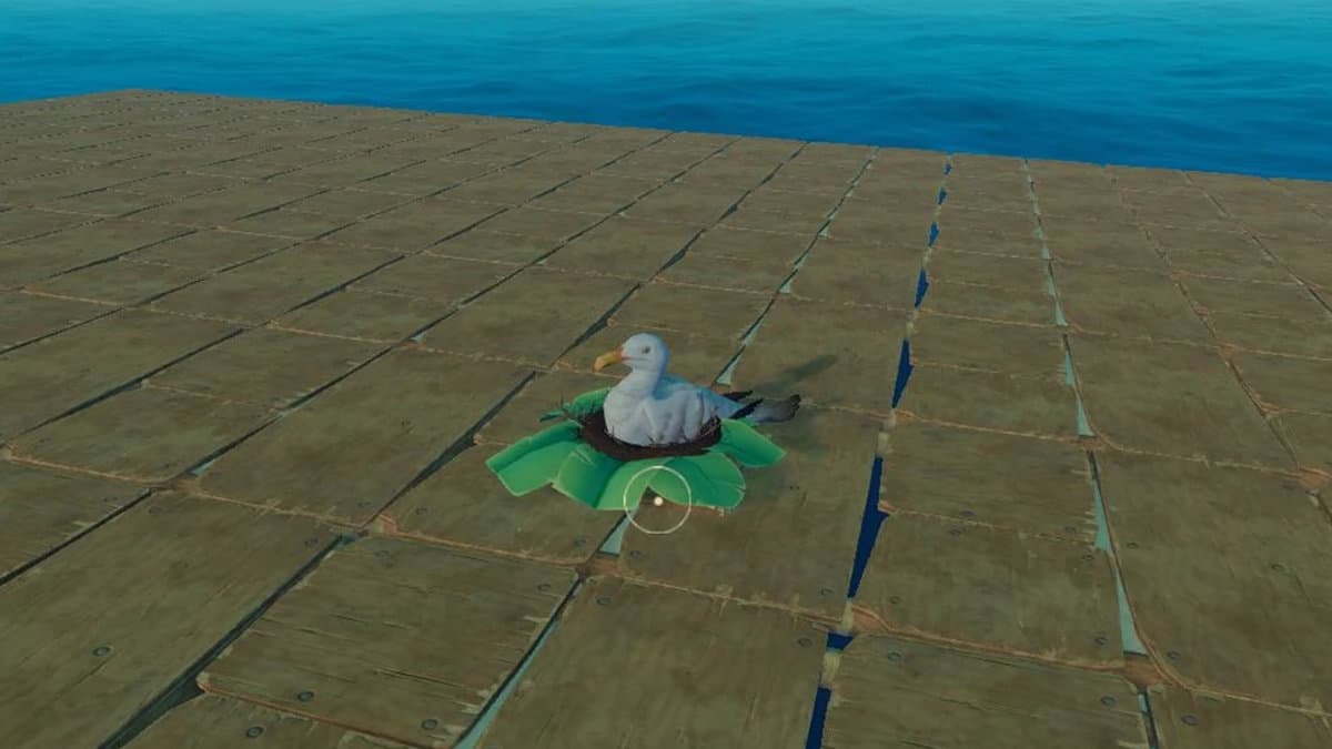 How To Get Eggs In Raft