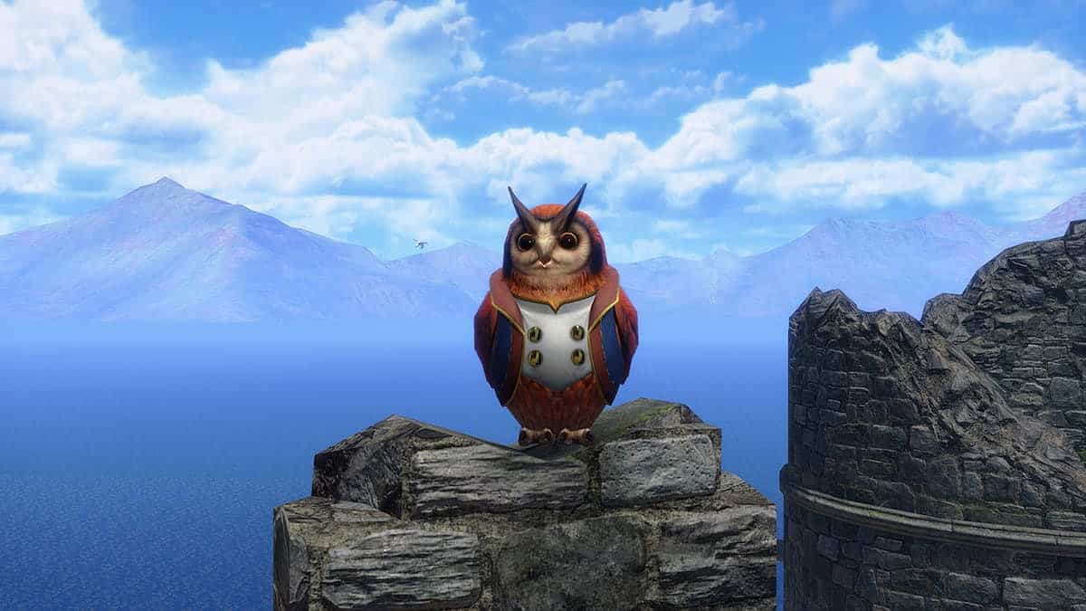 Where To Find The Three Elgado Cohoots In Monster Hunter Rise Sunbreak